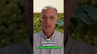 Warum Senioren morgens Schlaganfall-Gefahr haben #Gesundheit #Schlaganfall