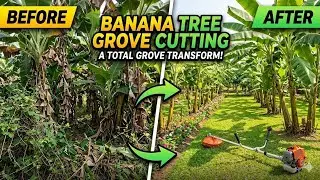 Full video Brush cutter
