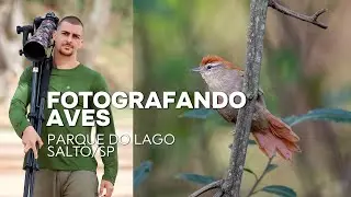 FOTOGRAFANDO AVES - PARQUE DO LAGO- SALTO/SP