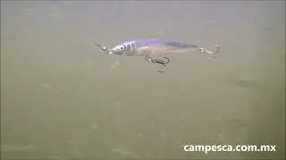 Rapala Husky Jerk