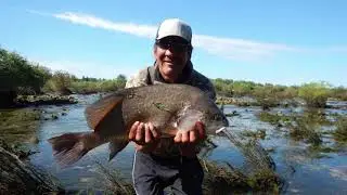 Grand Rapids Debris Cleanup And Fish Salvage