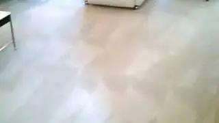 Choosing a Carpet Cleaner