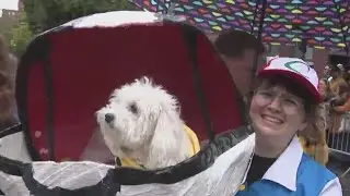 Tompkins Square Halloween Dog Parade: What to know