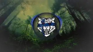 Diandra - Paha Poika (BASS BOOSTED)