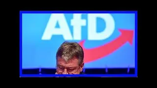 Machtkampf um parteispitze bei der afd