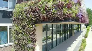 Een groen balkon bedekt met planten bij woon- en zorgcentrum Pennemes te Zaandam