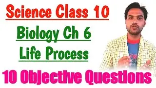 Science Class 10 Important Questions 2020 Cbse | MCQ | Biology | Life Process Chapter 6 Class 10