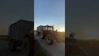#caseih Maxxum 5150 🔴🔥 + #pagliari