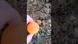 Satisfying Bouncy Ball ASMR