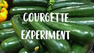 How to grow courgette