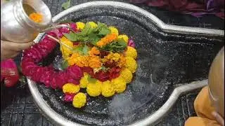 Basant panchami ke subh awsar pe baidnath dham me sardari puja ka live darshan kre 