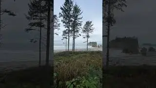 I love the PNW.