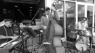 Bourbon Street Parade - Three Left Feet Trio - Twisted Tulip 10-25-25