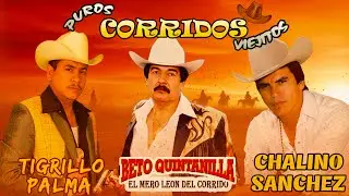 Chalino Sanchez, Beto Quintanilla y Tigrillo Palma Mix Para Pistear - Corridos Pesados Mix