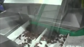 dates paste production line