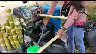 es sari tebu