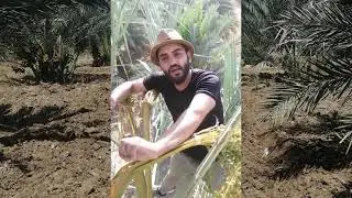 المهندس  الزراعي حمزة الرشايده