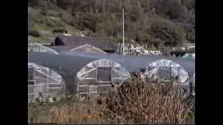 1990 千葉から安房鴨川まで Chiba to Awakamogawa 901117