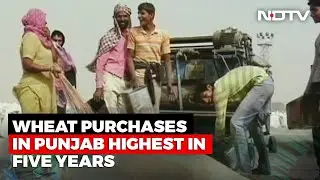How Russia-Ukraine War Is Impacting Punjab's Wheat Sales