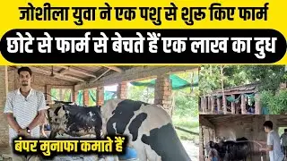 डेढ़ साल में ही फार्म को बना दिए जबरदस्त मॉडल/dairy farm up/dairy farming India/small dairy farm