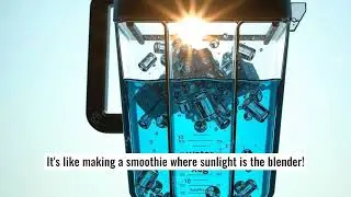 The secret Life plant photosynthesis explain