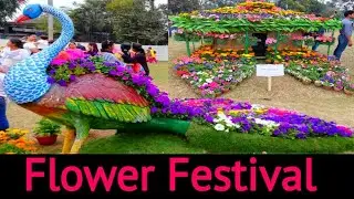 Visit flower festival in kolkata 2019 | Horticulture in india at Eden Gardens Kolkata 2019 (Hindi)