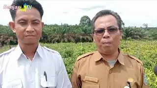 TANAMAN PANGAN CABAI SANGAT MEMBANTU MASYARAKAT