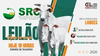 Canalleiloes.com |  LEILÃO GADO DE CORTE SRC LEILÕES | COLMÉIA-TO - 03/02/2026