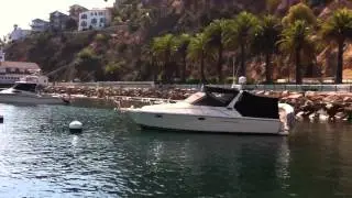 Avalon Harbor Fuel Dock