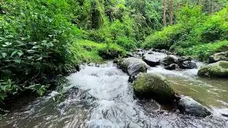 Soothing river sound beneath the moon supporting deep sleep with calming energy tonight