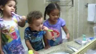 The Tooth Fairy Lady - teaching kids how to brush there teeth
