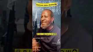 dab casar oo daarood kutuntay