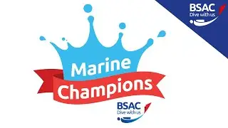 Marine Champions - Motion For The Ocean