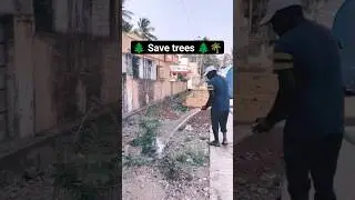 Secrets to Successful Plant & Tree Preservation save tree save earth  chanclimate chang