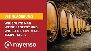 Wie sollte man Weine lagern? Was ist die perfekte Trinktemperatur? I myEnso Online-Supermarkt