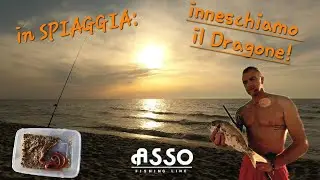 in Spiaggia a Tirrenia: Orate con il DRAGONE!