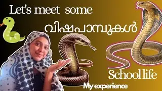 Let's meet some poisonous 🐍