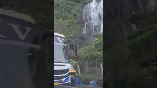Travel #music #trending #trend #travel #munnartent #kerala #india #nature #video #viralshorts #shots