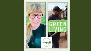 Inside the Phoenix Food Forest | Green Living Magazine Feature