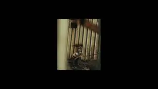 (FREE) DRACODONTJAM Type Beat - Your Friends