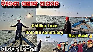 Chilika Lake Dolphin Sanctuary 🐬🐬 IIMigratory Birds 😍😍 II Must watch 👍