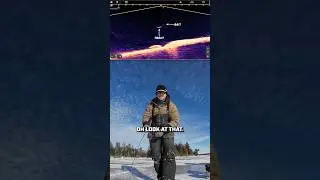 MEGA Live 2 🤝 Подлёдная рыбалка 🤘 #Humminbird