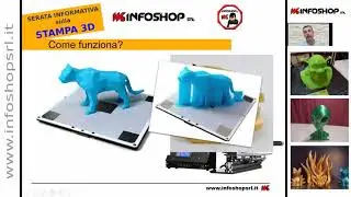 Serata Informativa sulla STAMPA 3D SHOP - Infoshop Srl - Portogruaro VE - 3DPR001