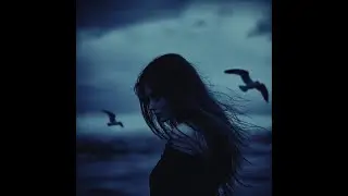 OKINXWX - Violin Night