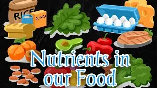 Nutrients in food | All about nutrition explained | Food and nutrition | essential nutrients in food