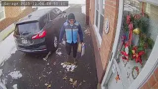 Amazon reviews: Complaint about a driver who stole my package | PissedConsumer.com