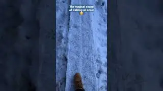 The magical sound of walking on #snow 😍 #finland #winter  #naturesounds #walking