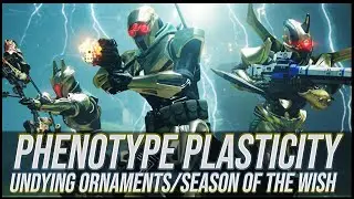 Destiny 2: Phenotype Plasticity Review | Season of the Wish