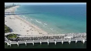 305-Miami Vibez in 2020!!!