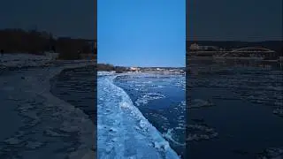 Die #Elbe in #Dresden friert langsam zu.